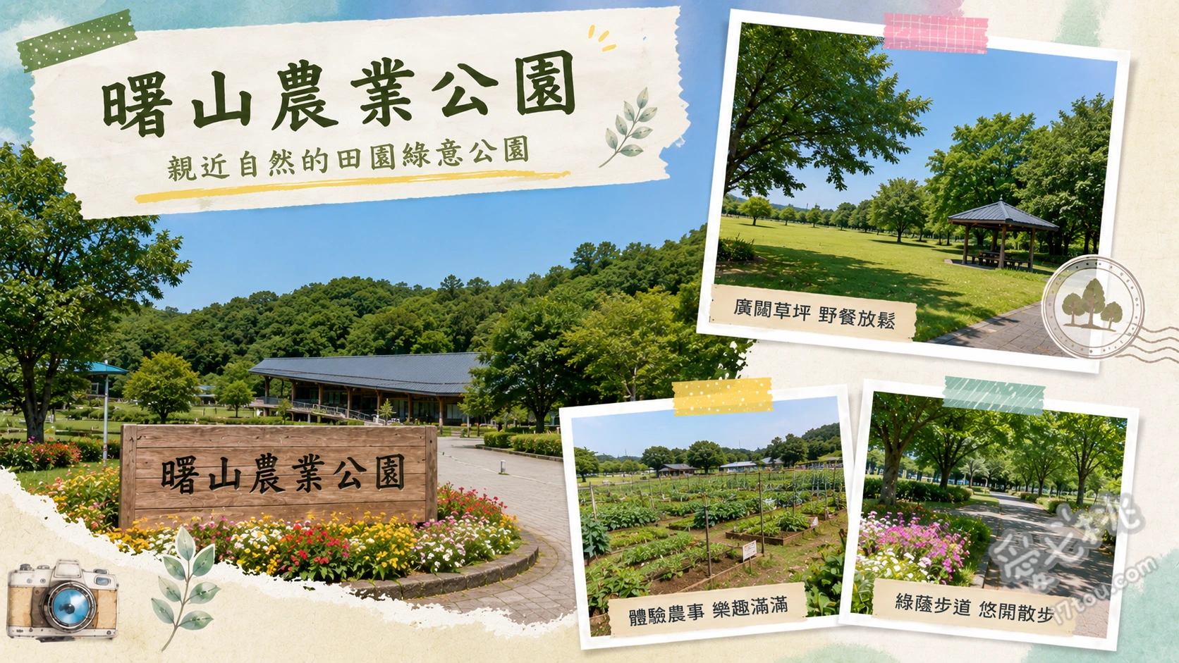 曙山農業公園｜千葉柏市免門票賞花秘境 荷蘭風車與四季花海、日式庭園與柏泉亭、櫻花山 (さくら山)