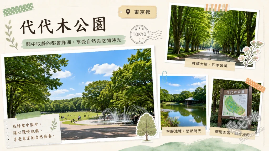 代代木公園｜東京市中心絕美森林綠洲，情侶約會賞櫻賞楓必訪 漫步秋季金黃銀杏大道、春季中央廣場草皮野餐、租借自行車悠遊林蔭步道