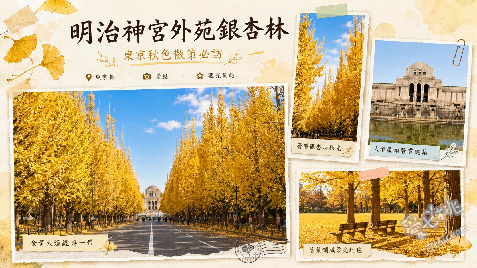明治神宮外苑銀杏林|東京秋季必訪的300公尺金黃大道 300公尺金黃銀杏隧道、146棵修剪整齊的銀杏樹列、秋季限定夜間點燈(依官方公告)
