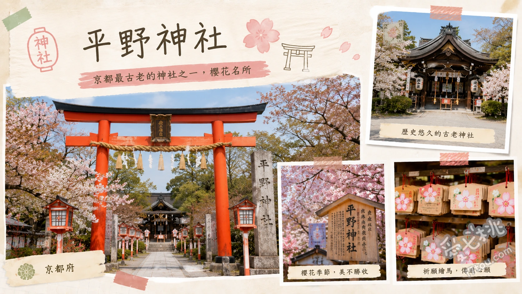 京都平野神社|60種櫻花接力綻放,超萌松鼠神籤與夢幻夜櫻 欣賞源自平野神社的早開名櫻魁櫻、收集超萌的櫻花松鼠御神籤、漫步櫻苑欣賞夜間點燈與紅色鳥居交織的絕美景色