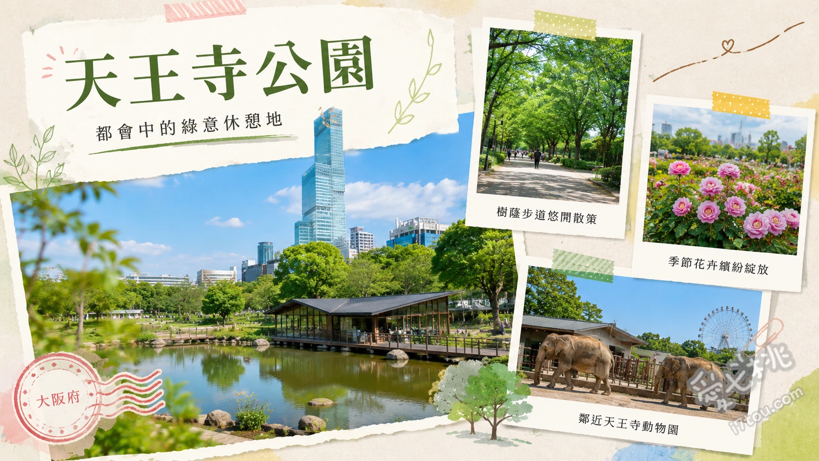 大阪天王寺公園｜市區綠洲大草坪，親子放電與庭園散步攻略 天芝（TEN-SHIBA）大草坪、天王寺動物園、慶澤園日式庭園