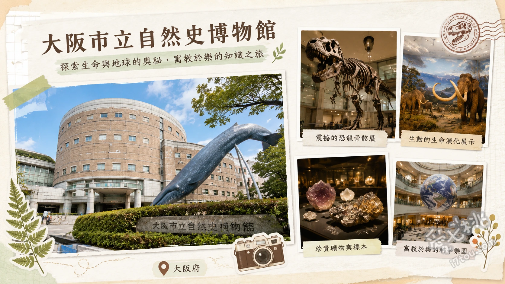大阪市立自然史博物館｜恐龍化石與巨大鯨魚，長居公園親子必訪 門廊19公尺長鬚鯨巨大骨骼標本、第二展區震撼的恐龍化石群與觸摸體驗、第一展區超吸睛的巨大蟑螂與昆蟲模型