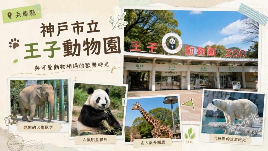 神戶市立王子動物園｜無尾熊與北極熊的療癒系親子景點 近距離觀賞無尾熊與北極熊、挑戰復古小型遊樂園設施、參觀異人館「舊亨特住宅」