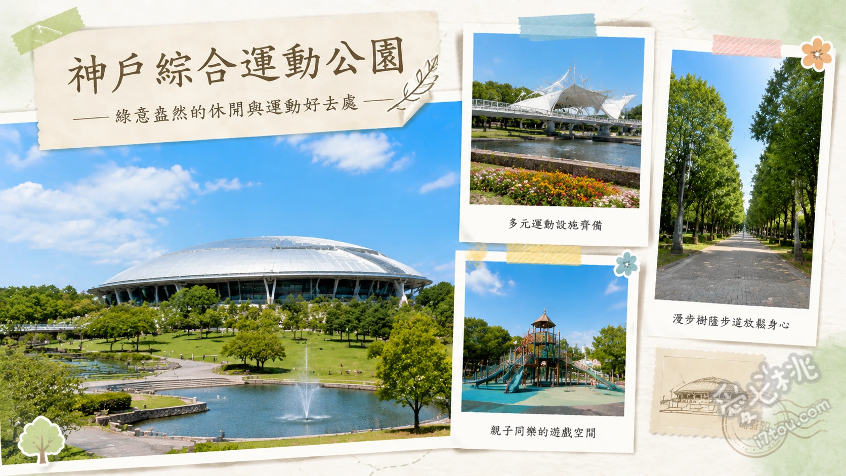 神戶綜合運動公園｜親子免費玩水秘境與百萬株波斯菊花海 夏季限定免費戲水池、冒險之國大型遊具、波斯菊之丘賞花