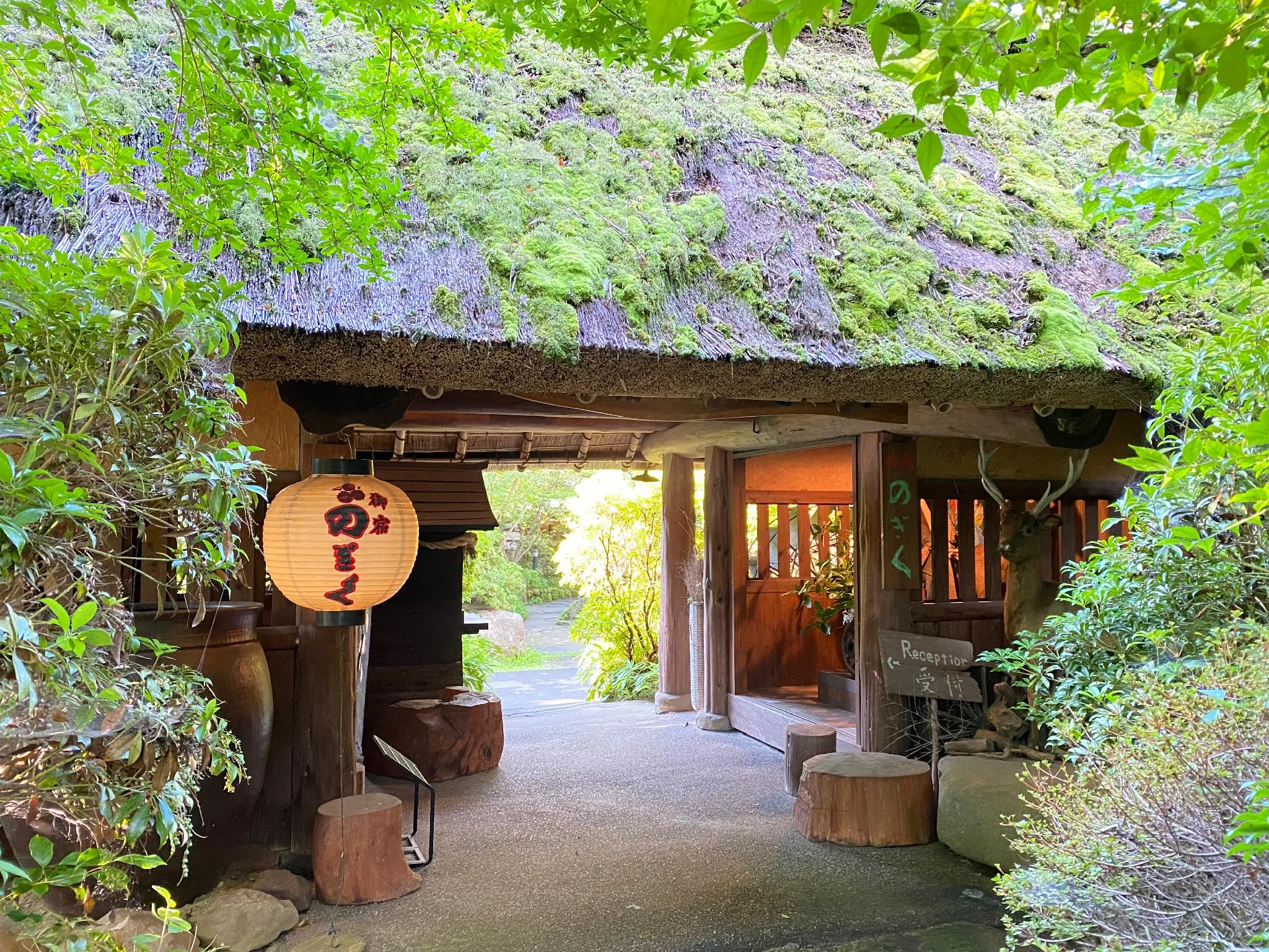 御宿Nogiku旅館