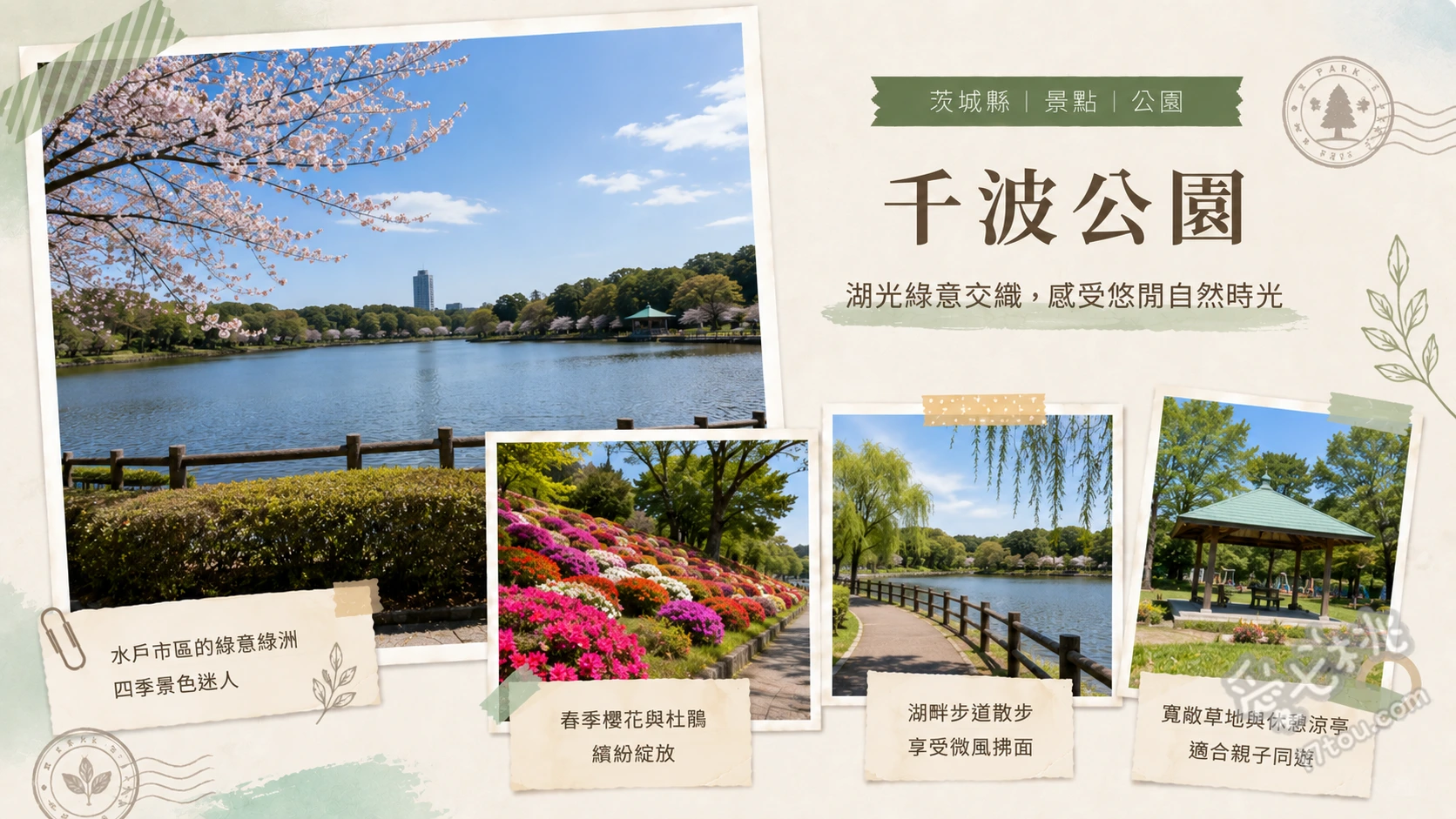 茨城千波公園｜水戶文青必訪水岸綠洲，與黑天鵝浪漫相伴 漫步3公里環湖步道賞櫻花與湖景、租借天鵝船與黑白天鵝近距離互動、朝聖D51型蒸汽火車頭與水戶黃門銅像