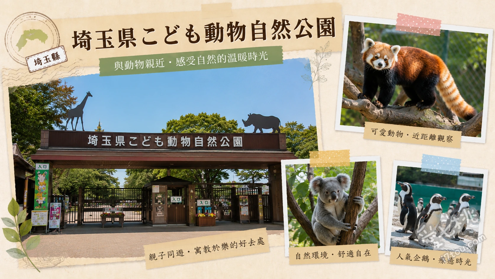 埼玉兒童動物自然公園｜全日本唯一短尾矮袋鼠，親子必訪動物園 尋找世界最快樂的動物短尾矮袋鼠、觀賞冬季限定的療癒水豚溫泉、漫步企鵝之丘近距離觀察漢波德企鵝