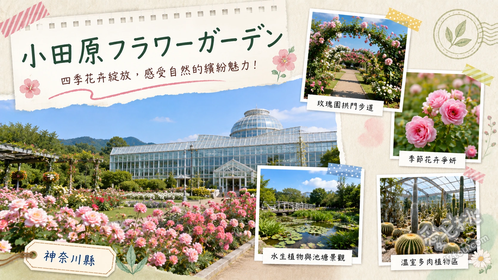 小田原花卉公園｜四季賞花免費入園，熱帶溫室與梅花絕景 溪流梅園 (早春500株梅花)、熱帶圓頂溫室 (300種熱帶植物)、春秋玫瑰園 (160品種玫瑰)