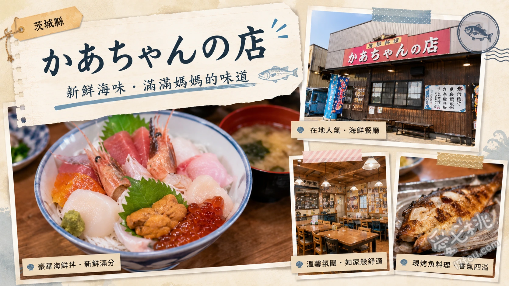 大洗町漁協かあちゃんの店｜茨城必吃生吻仔魚蓋飯與爆量海鮮 生吻仔魚蓋飯定食、雙色吻仔魚蓋飯定食、老爸御膳