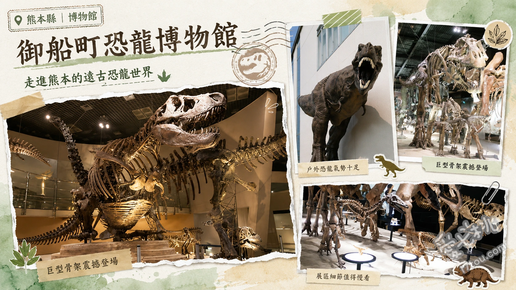 御船町恐龍博物館｜九州最大恐龍展，熊本室內約會與親子景點推薦 19具震撼恐龍全身骨架展示、會發出吼叫聲的互動式恐龍模型、化石清理與實驗室觀摩區