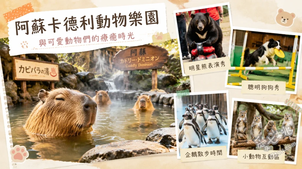 熊本阿蘇卡德利動物樂園｜抱小熊與直升機火山口絕景 搭乘直升機俯瞰阿蘇火山口、限量抱小熊合照體驗、宮澤劇場動物趣味表演