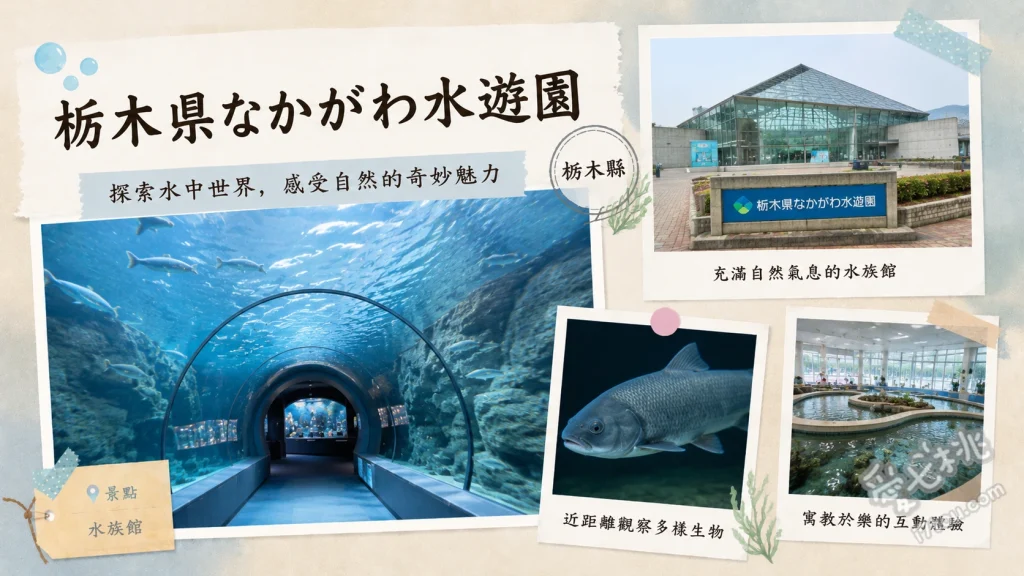 栃木縣那珂川水遊園｜日本最大級河川水族館與亞馬遜隧道 360度亞馬遜全景隧道、那珂川淡水魚生態展示、戶外親水廣場與釣魚池