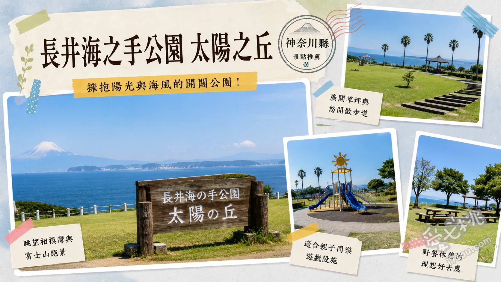 長井海之手公園太陽之丘｜橫須賀絕美花海與海景親子樂園 四季花海與富士山同框絕景、十五公尺高空滑索與大型體能設施、水豚與羊駝動物互動村