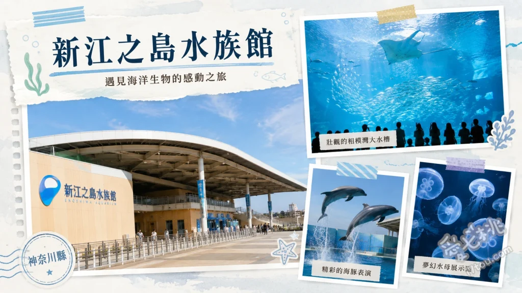 新江之島水族館｜相模灣夢幻海景，情侶必訪浪漫約會聖地 水母夢幻廳、相模灣大水槽、海景海豚表演