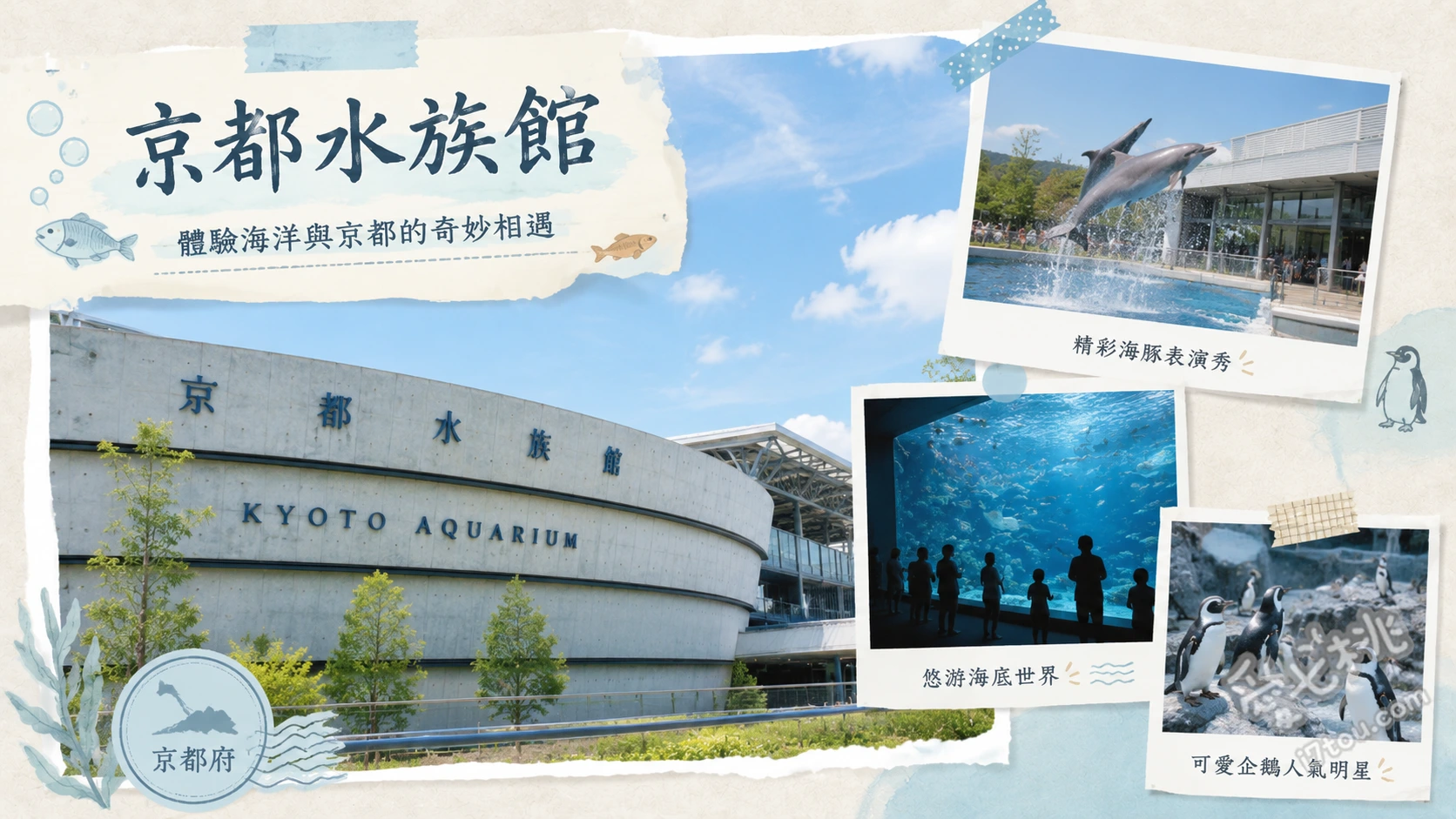 京都水族館｜情侶約會與親子室內景點推薦，必看夢幻水母與海豚秀 GURURI 360度全景水母水槽、海豚劇場表演秀、日本大山椒魚（鴨川生態區）