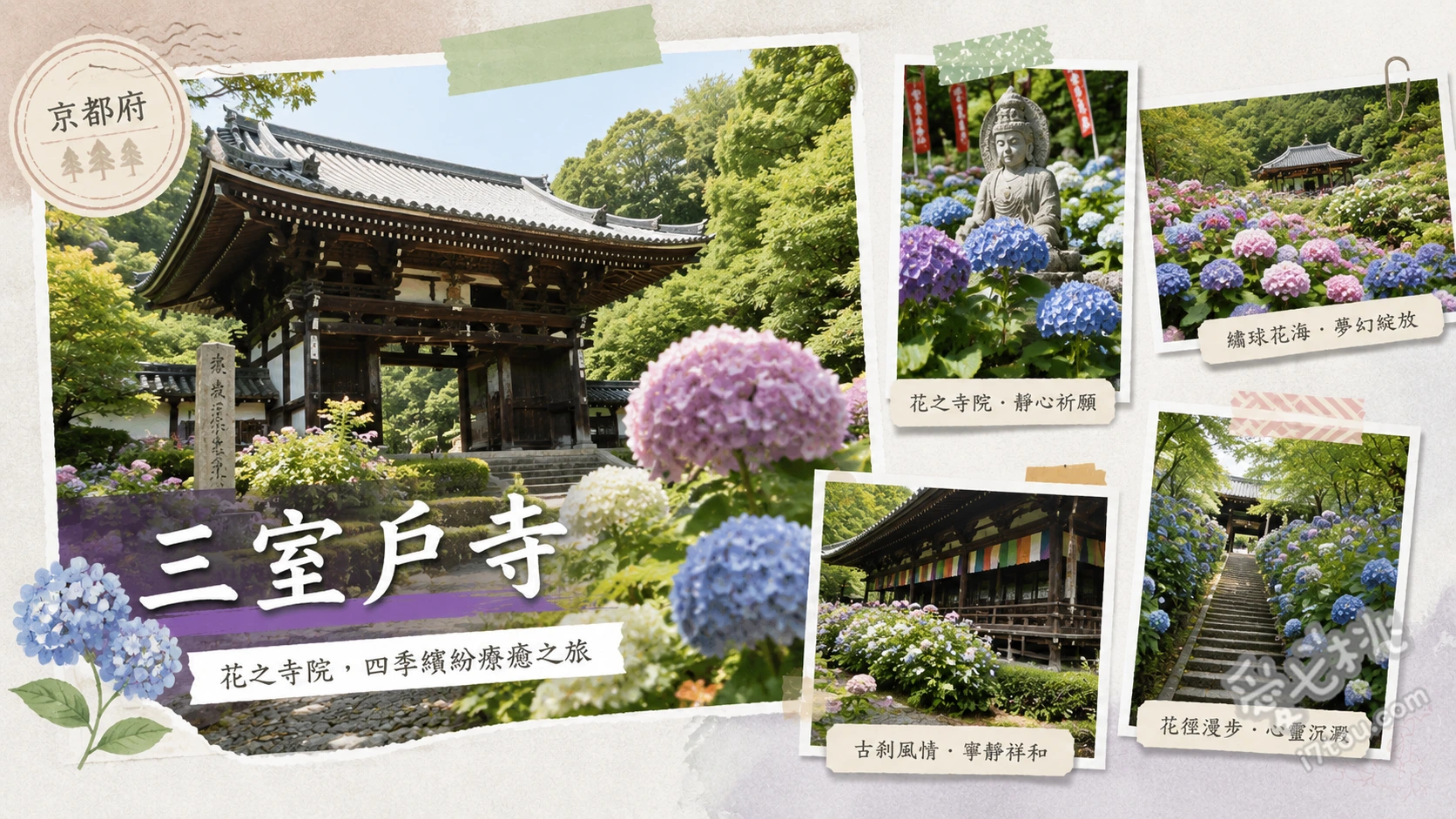 京都宇治三室戶寺｜關西必訪繡球花海與勝運之牛參拜攻略 漫步與樂園尋找心型繡球花、撫摸勝運之牛與福德兔祈求好運、欣賞本堂前盛開的夏季蓮花與秋季紅葉