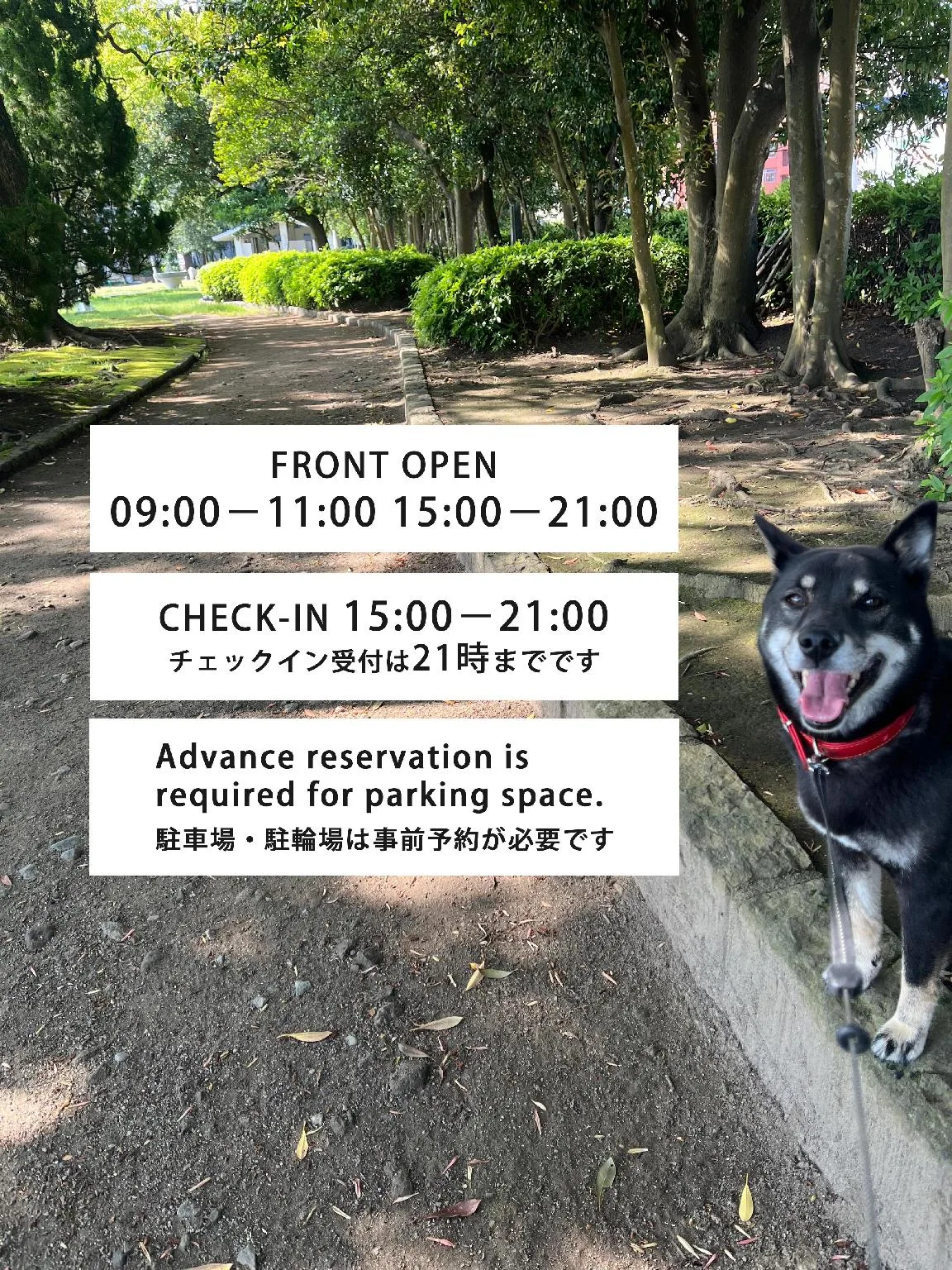 別府J-霍珀斯旅館