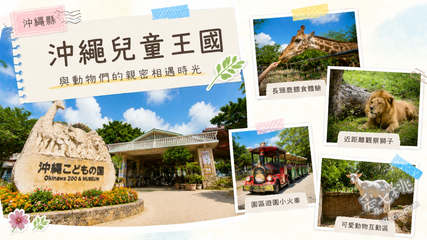 沖繩兒童王國|15歲以下免費!動物園與室內科學館半日遊 近距離餵食亞洲象與長頸鹿、室內冷氣開放的神奇博物館、週末假日限定的夜間動物園