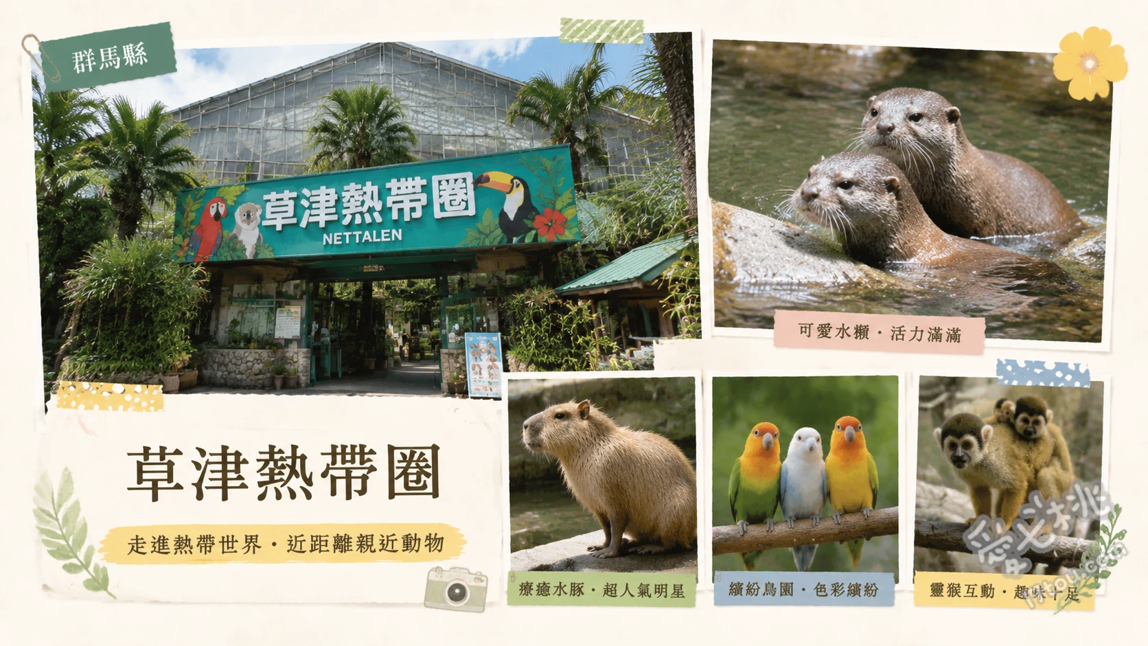 草津熱帶圈｜群馬草津溫泉必訪！日本最高海拔熱帶動物園 高達15公尺的熱帶叢林圓頂、水豚與侏儒猴零距離互動餵食、溫泉魚手足浴體驗