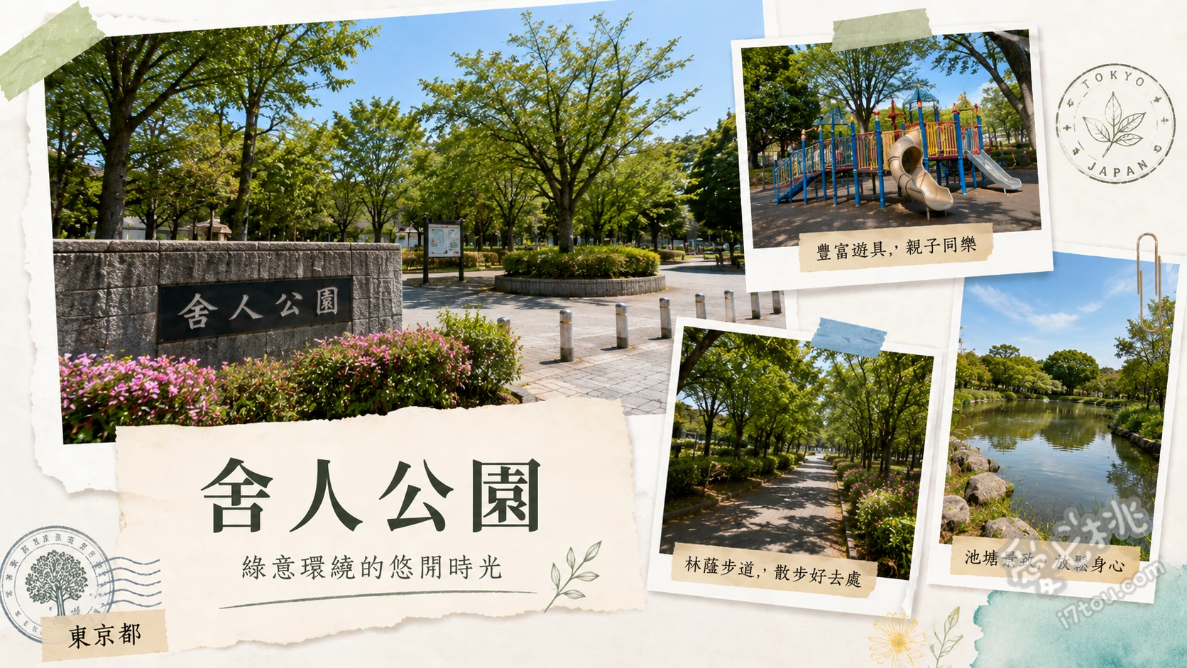 舍人公園｜東京隱藏版粉蝶花海與千本櫻，身心療癒的野餐秘境 春季限定的粉蝶花海與千本櫻雙重奏、充滿大自然氣息的大池塘賞鳥與水鳥觀察、兒童專屬的人工草皮滑草道與夏季戲水池