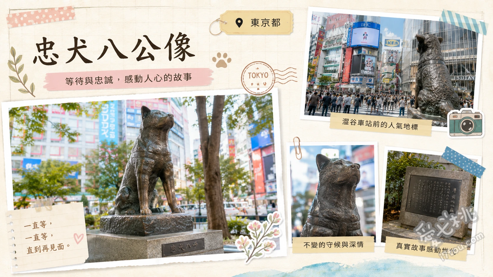 東京澀谷必拍地標｜忠犬八公像交通攻略與避開人潮拍照指南 與忠犬八公銅像合影、感受澀谷站前十字路口蜂群式人流、順遊周邊八公紀念品專賣店