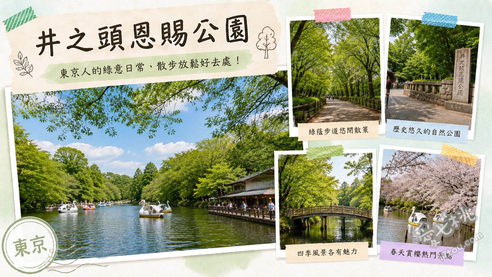 井之頭恩賜公園｜吉祥寺必訪！絕美湖畔天鵝船與四季自然綠洲 井之頭池踩天鵝船遊湖、漫步七井橋欣賞四季湖畔倒影、尋訪井之頭弁財天與水手舍