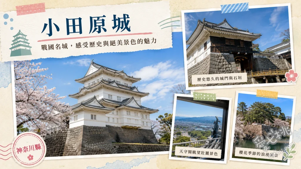 小田原城｜關東難攻不落之城，登天守閣賞櫻與忍者體驗 天守閣頂層展望台眺望相模灣、常盤木門換穿戰國武士甲冑、NINJA館體驗風魔忍者機關