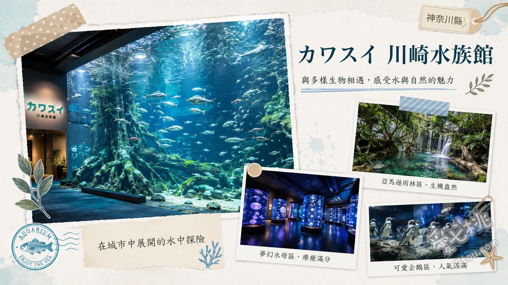 川崎水族館Kawasui｜結合數位科技與淡水生態的都市綠洲 多摩川至亞馬遜流域的淡水生態系、全景螢幕與數位光影結合的沉浸式展演、亞馬遜甲板區近距離觀察水豚與樹懶
