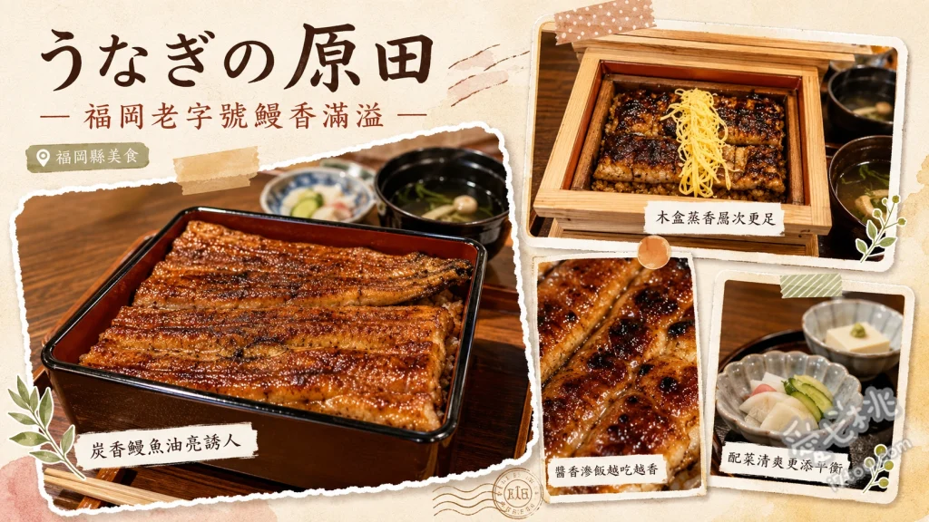 福岡柳川うなぎの原田｜在地人激推的兩百年蒸鰻魚飯老店 上等蒸鰻魚飯、女性套餐、鰻魚玉子燒