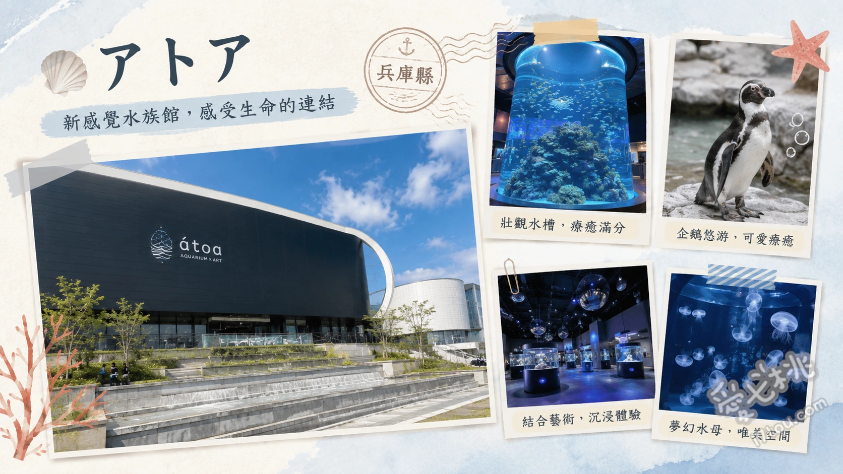神戶átoa水族館｜結合光影藝術的夢幻室內親子景點 PLANETS 奇蹟的行星 (全日本最大球體水槽與雷射光影秀)、MIYABI 和與光之間 (和風空間與唯美金魚展演)、探求之室 (結合圖書館與實驗室的互動探索空間)