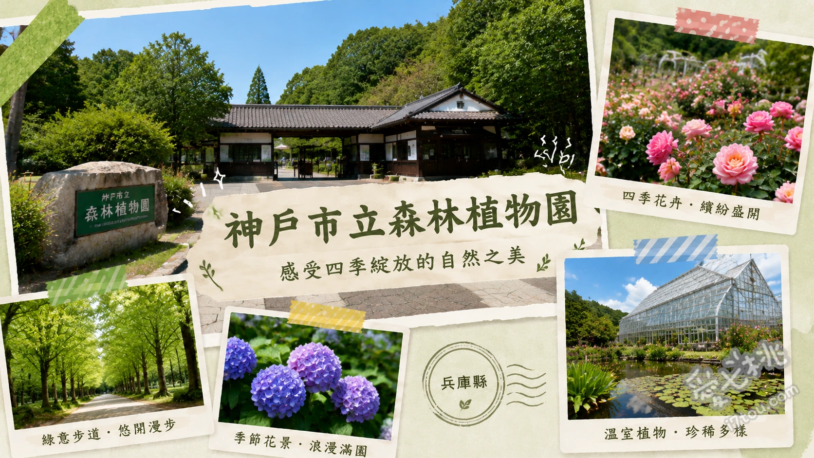 神戶市立森林植物園|絕美長谷池紅葉與水杉林蔭道 長谷池紅葉倒影、水杉林蔭道漫步、森林四季彩隧道