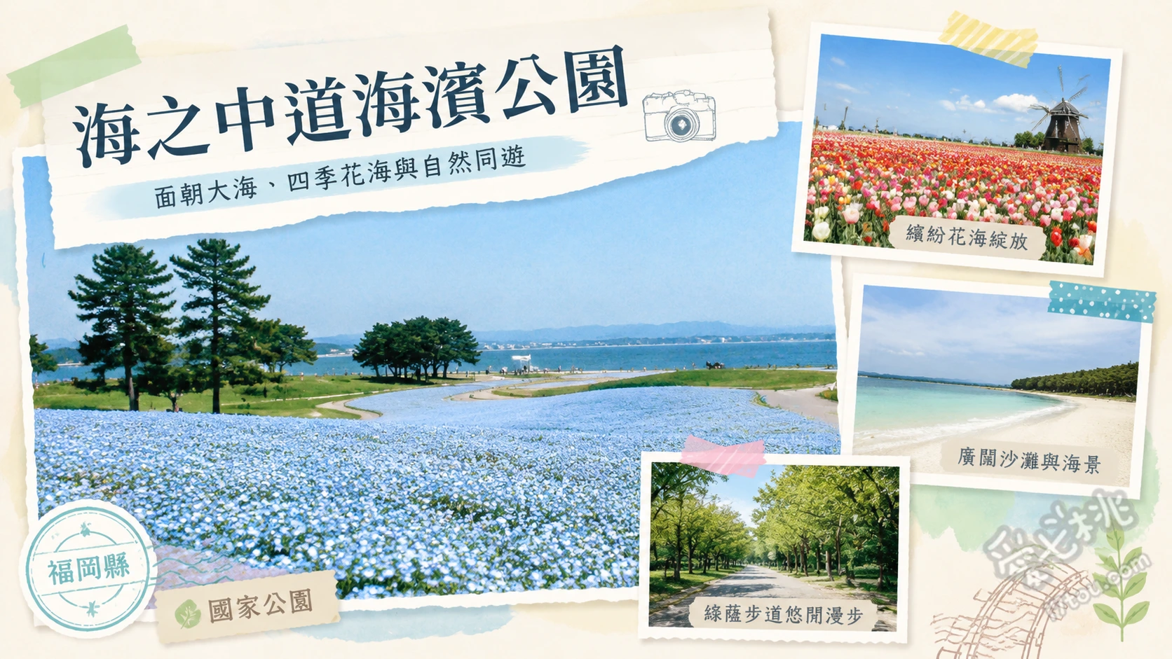 海之中道海濱公園｜福岡情侶約會必訪，浪漫花海與水豚互動 租借雙人或電動腳踏車享受海風環園、在花之丘拍攝宛如畫報般的浪漫花海合照、前往動物之森零距離餵食水豚與小袋鼠
