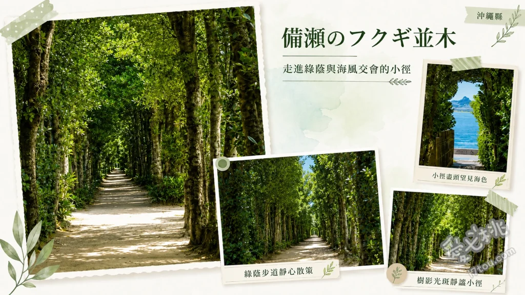 備瀨福木林道｜沖繩北部必訪綠色隧道，單車漫遊與夕陽秘境 騎乘單車穿梭300年歷史的福木林道、備瀨崎海岸欣賞伊江島剪影與絕美夕陽、沿途尋找聚落內親人可愛的貓咪