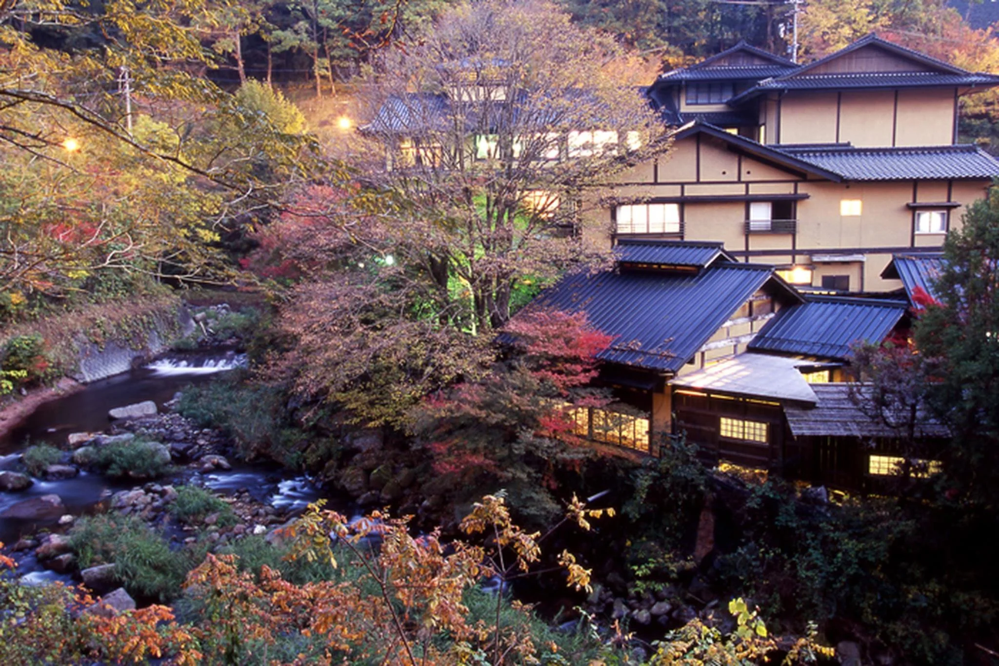 黑川溫泉瀨之本館夢龍膽 實景照