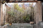 秘密基地時光片羽旅館 縮圖 3