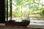 竹富島阿卡納亞酒店 縮圖 4