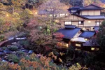 黑川溫泉瀨之本館夢龍膽 縮圖 1