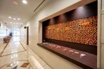 the b博多飯店 縮圖 5