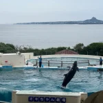 沖繩美麗海水族館 7